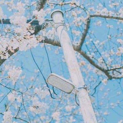 果盘上古战歌手游下载